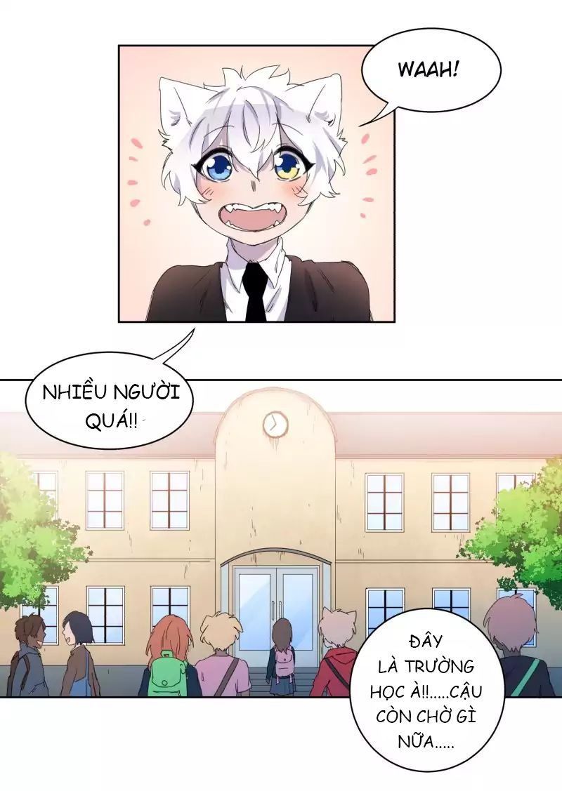 Lumine - Chương 10 - Trang 3