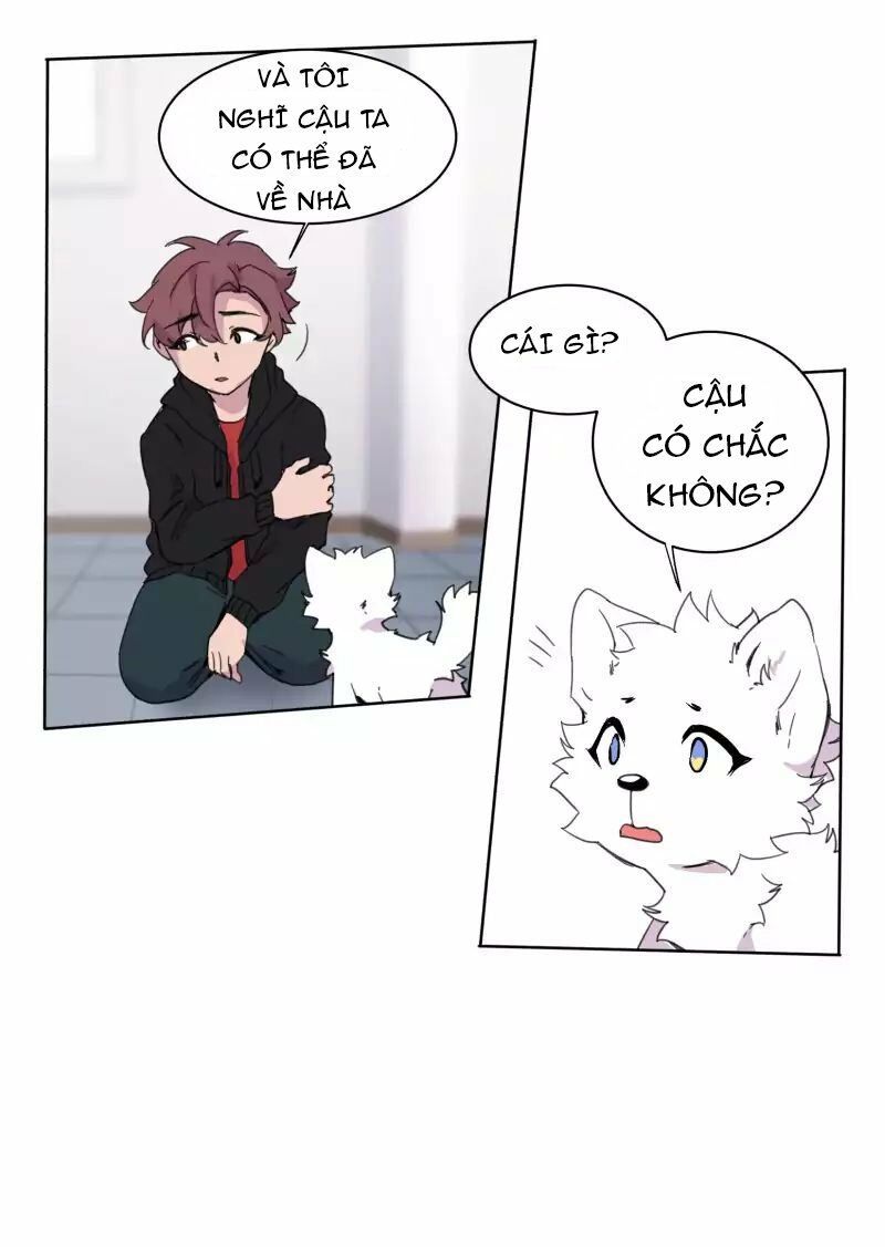 Lumine - Chương 22 - Trang 13