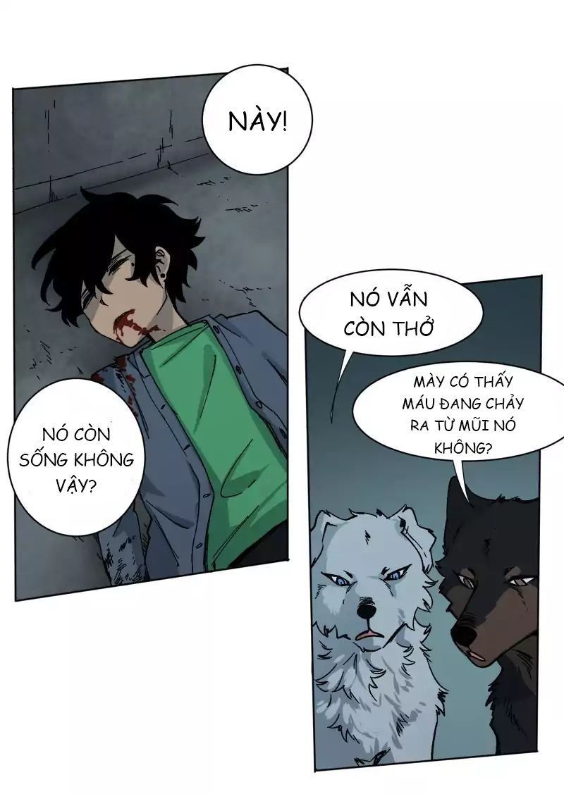 Lumine - Chương 25 - Trang 14
