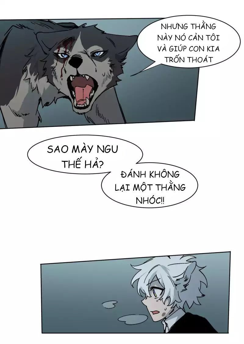 Lumine - Chương 25 - Trang 19