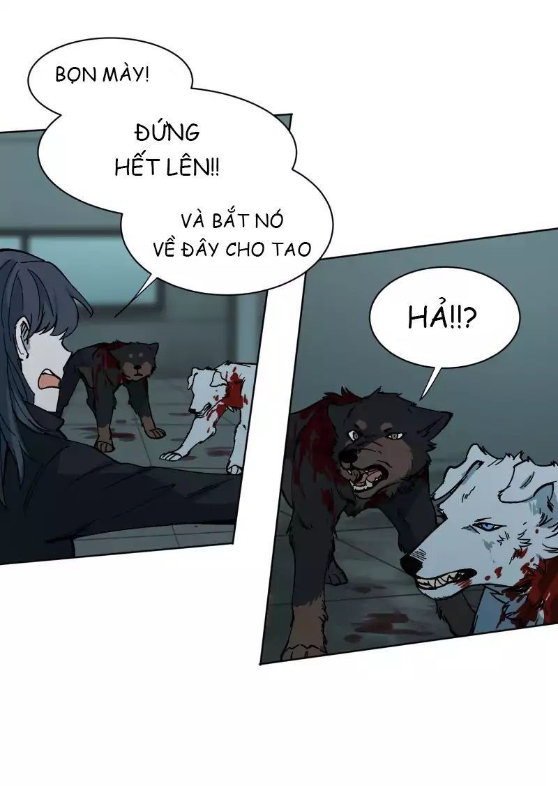 Lumine - Chương 27 - Trang 13