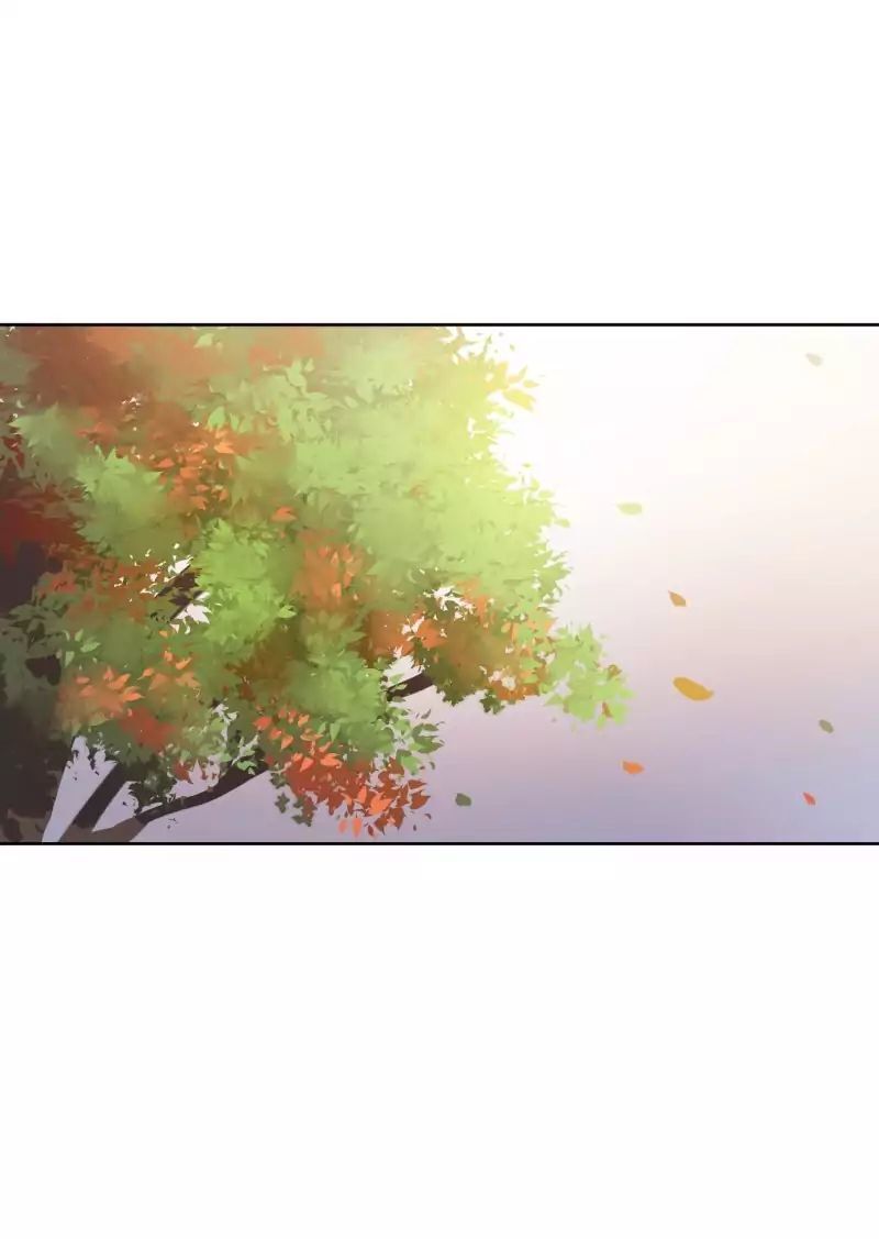 Lumine - Chương 30 - Trang 2