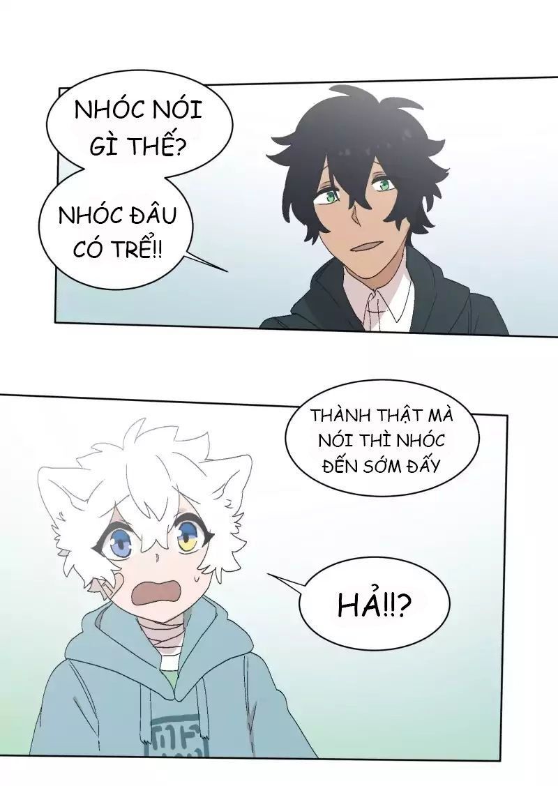 Lumine - Chương 30 - Trang 13