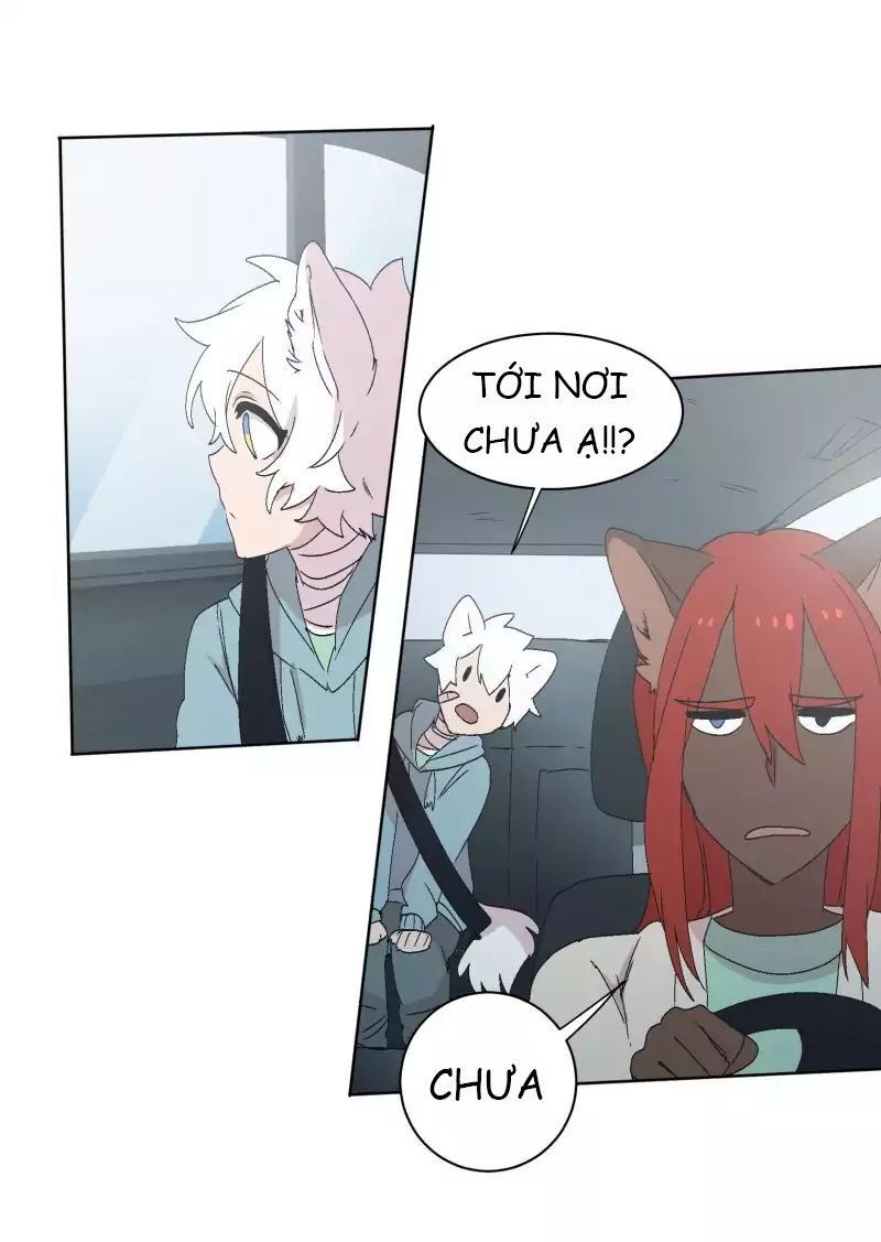 Lumine - Chương 30 - Trang 16
