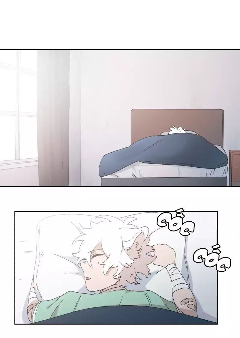 Lumine - Chương 30 - Trang 4