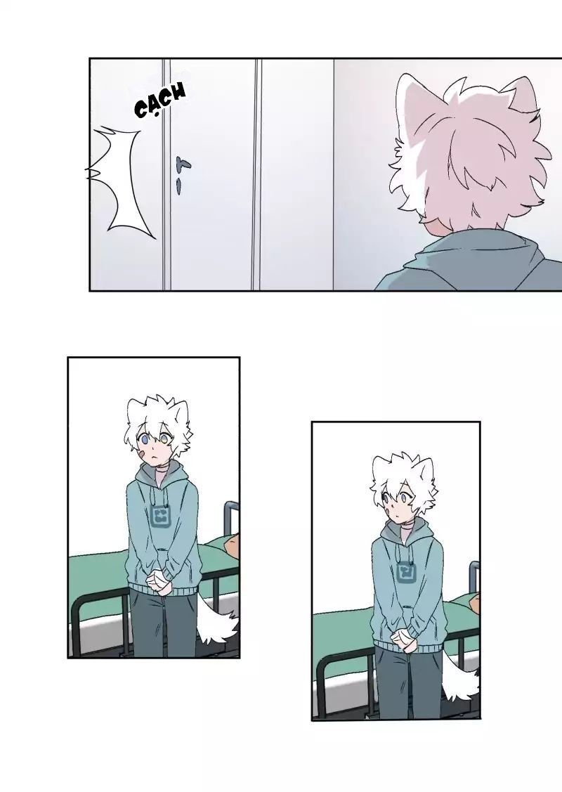 Lumine - Chương 30 - Trang 42