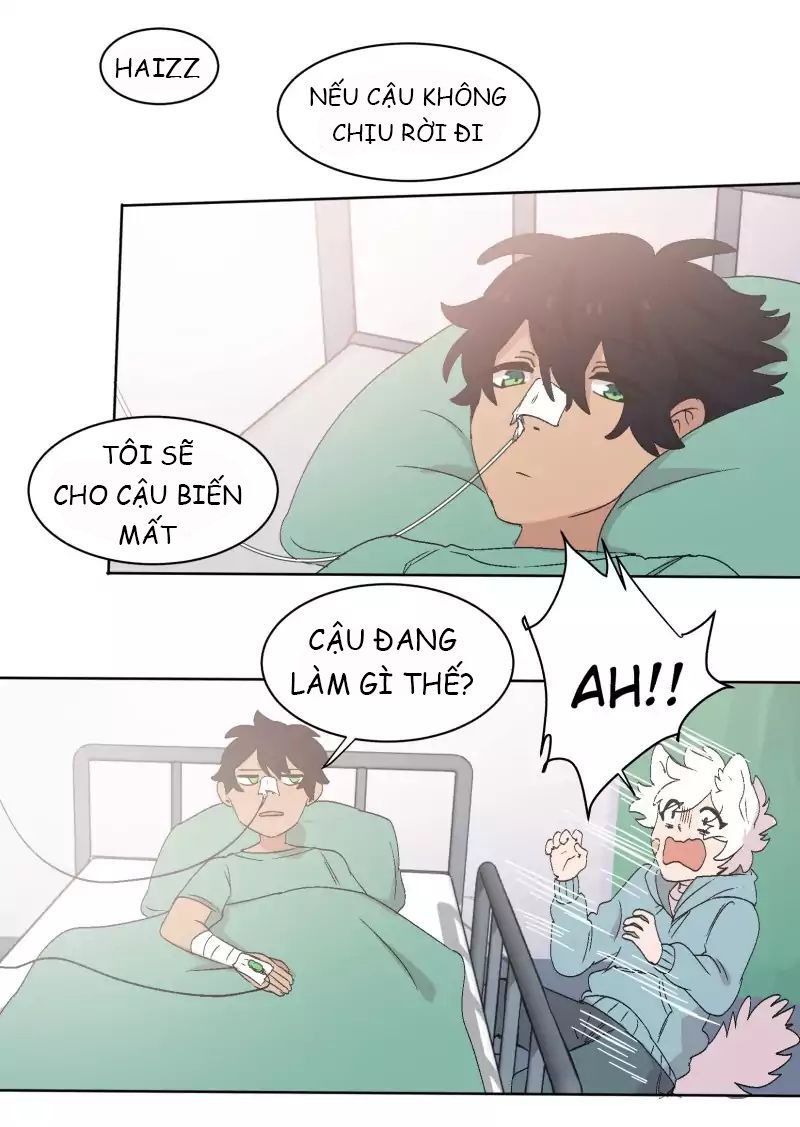 Lumine - Chương 31 - Trang 13