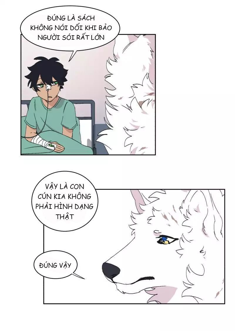 Lumine - Chương 31 - Trang 29