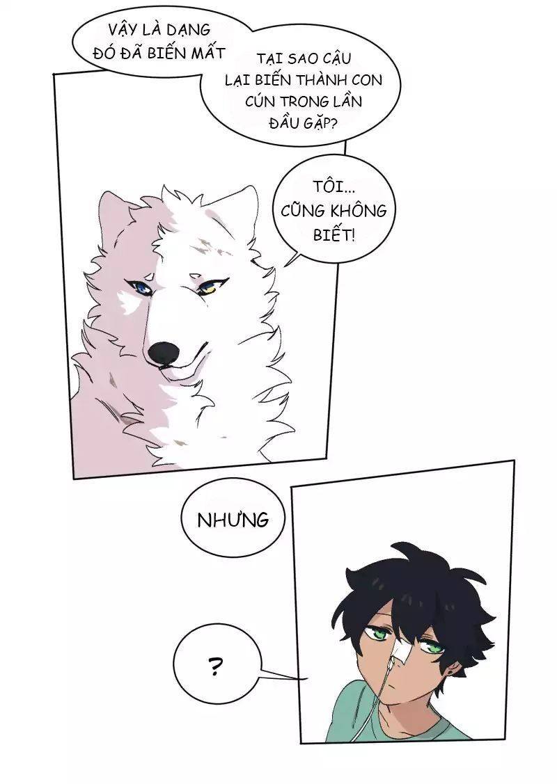 Lumine - Chương 31 - Trang 30