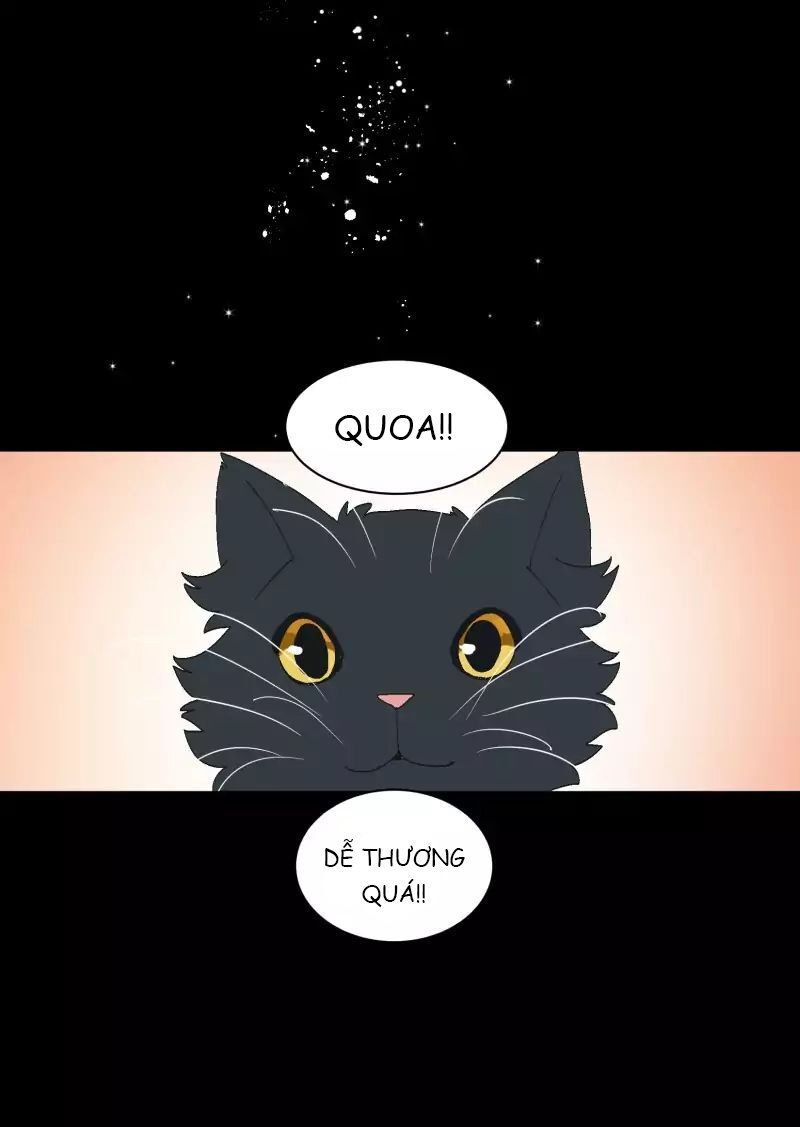 Lumine - Chương 35 - Trang 12