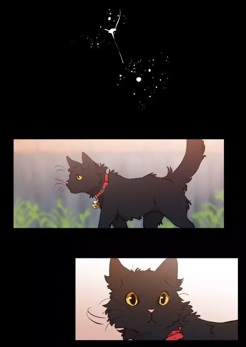 Lumine - Chương 37 - Trang 25