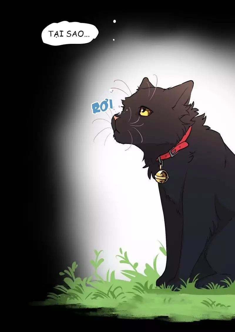 Lumine - Chương 37 - Trang 30