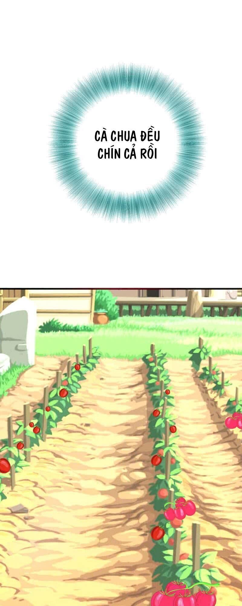 Tiểu Tân Nương Nóng Bỏng Của Nông Gia - Chương 70 - Trang 9