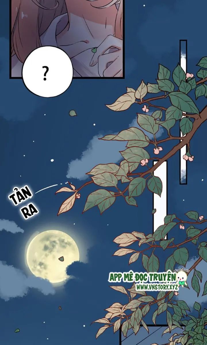 Đom Đóm Trên Dòng Sông Cô Quạnh - Chương 33 - Trang 13