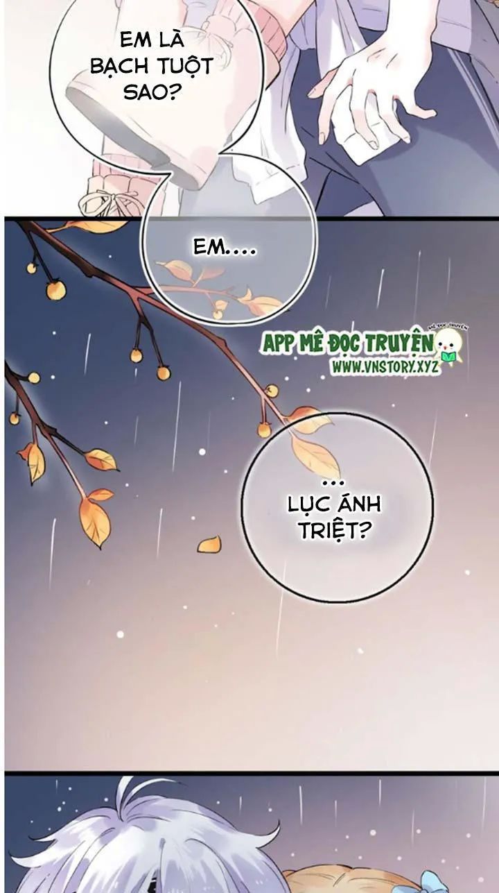 Đom Đóm Trên Dòng Sông Cô Quạnh - Chương 40 - Trang 15