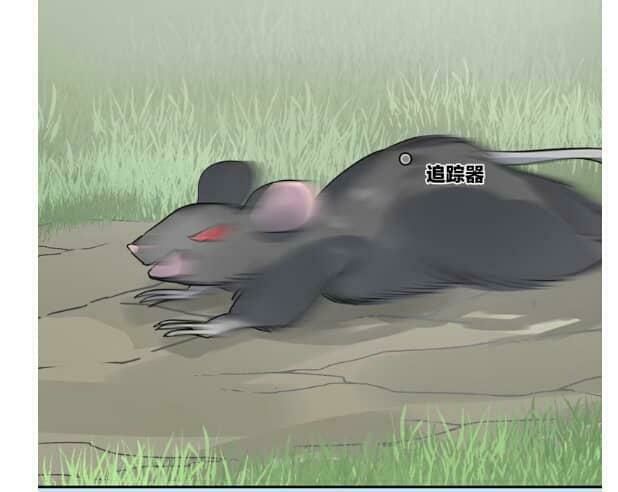 Bộ Váy Của Nhân Ngư - Chương 24 - Trang 1