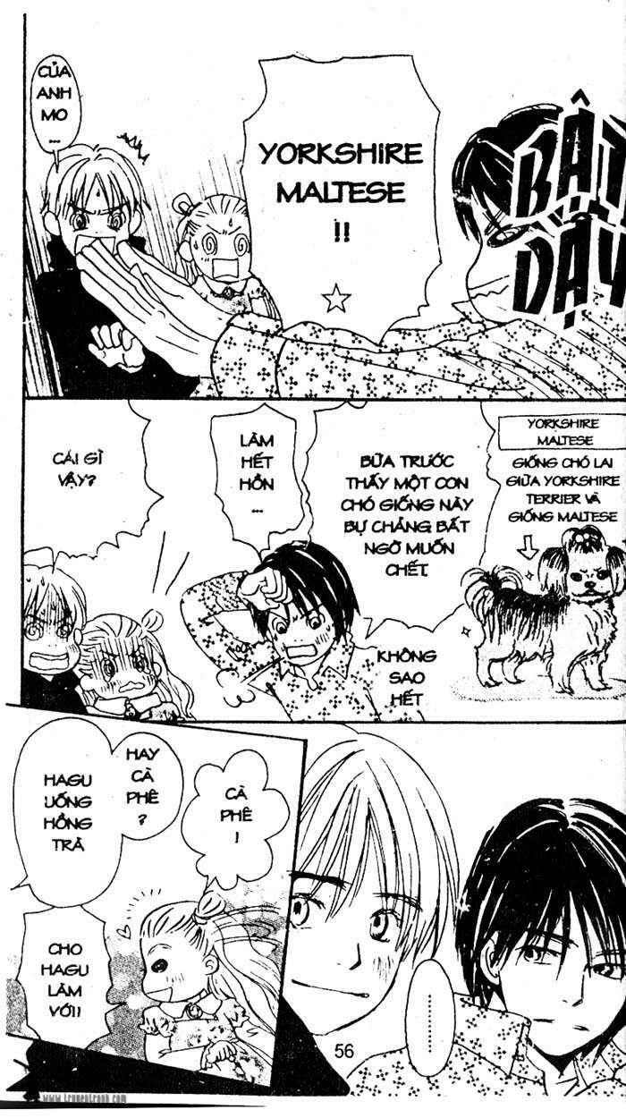 Love N Life - Chương 17 - Trang 26