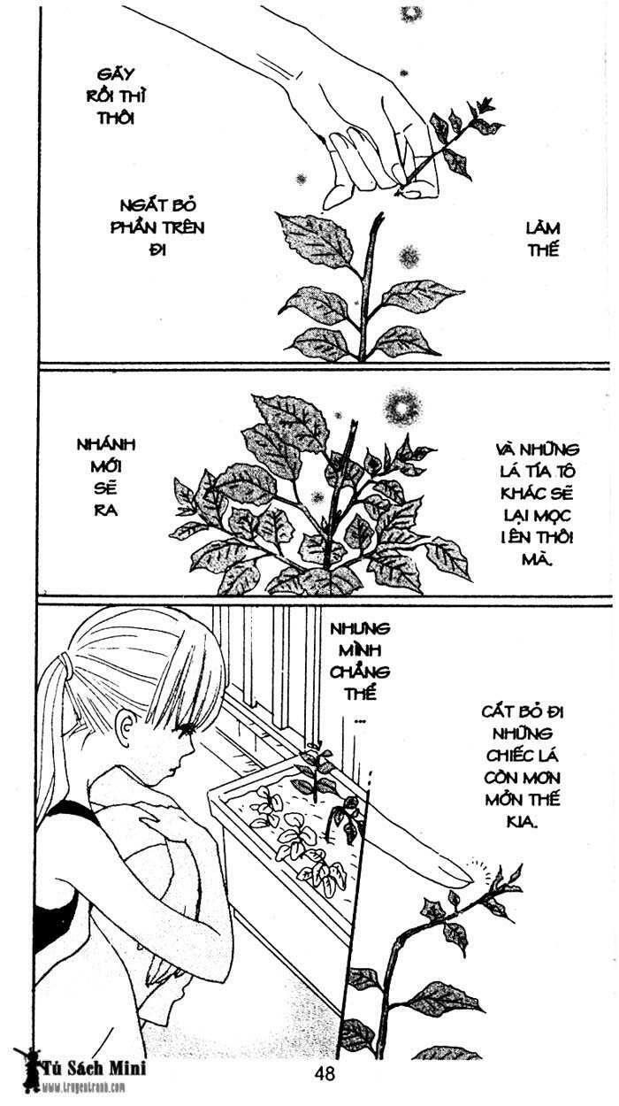 Love N Life - Chương 24 - Trang 3