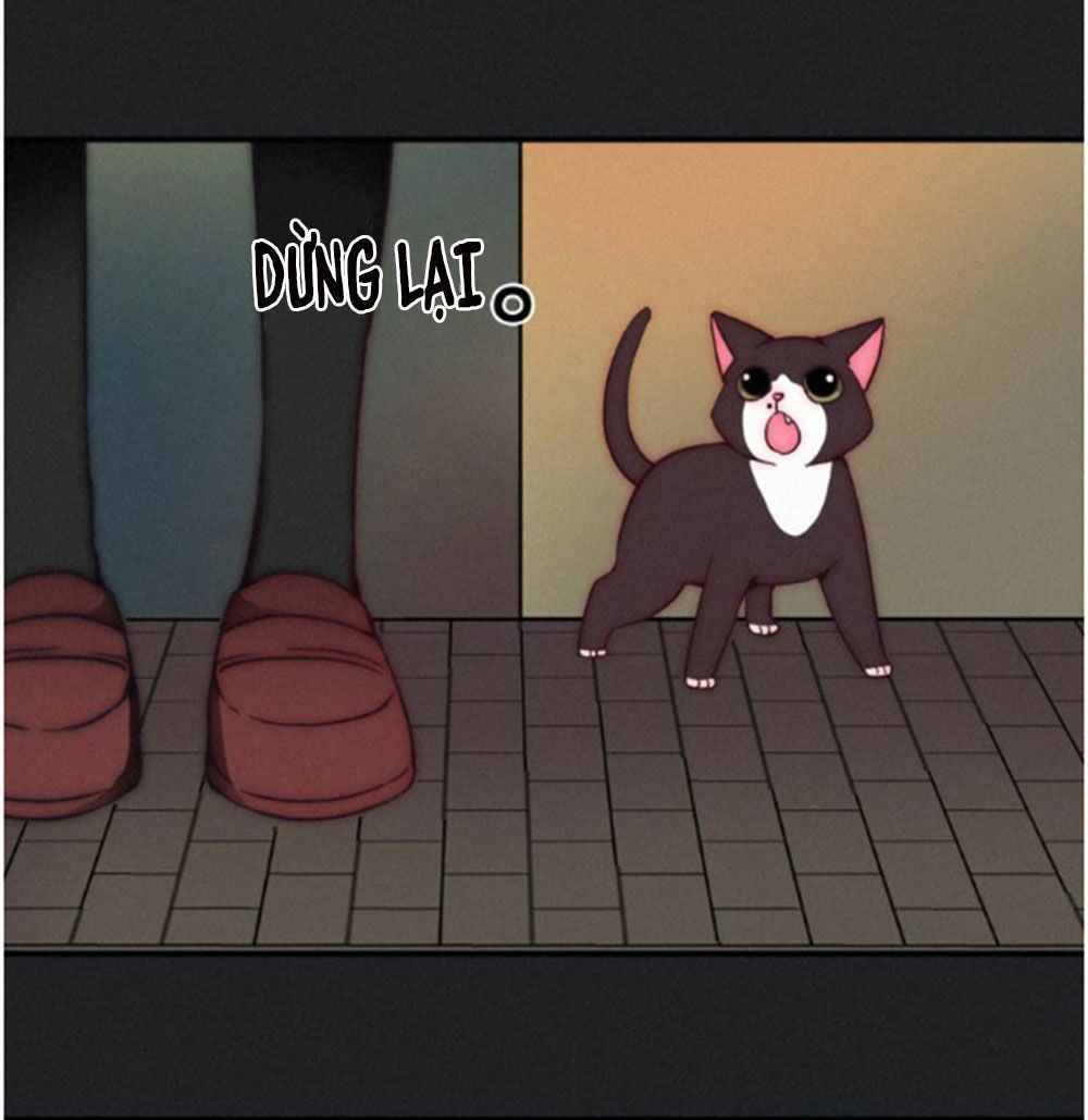 Bí Mật Bóng Đêm - Chương 2.2 - Trang 13