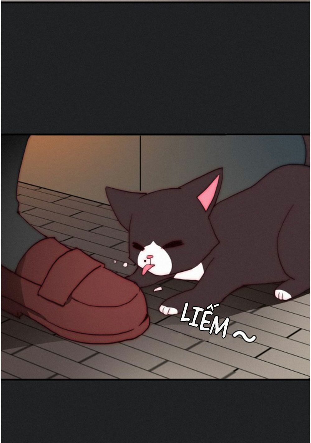 Bí Mật Bóng Đêm - Chương 2 - Trang 50