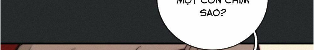 Bí Mật Bóng Đêm - Chương 7.1 - Trang 38