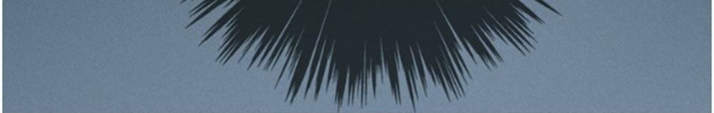 Bí Mật Bóng Đêm - Chương 8.3 - Trang 4