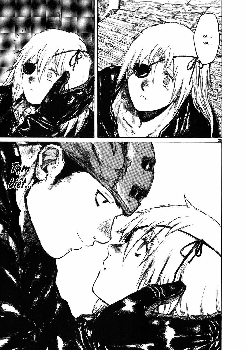 Kẻ Mất Trí Và Thế Giới Ma Thuật - Chương 66 - Trang 26