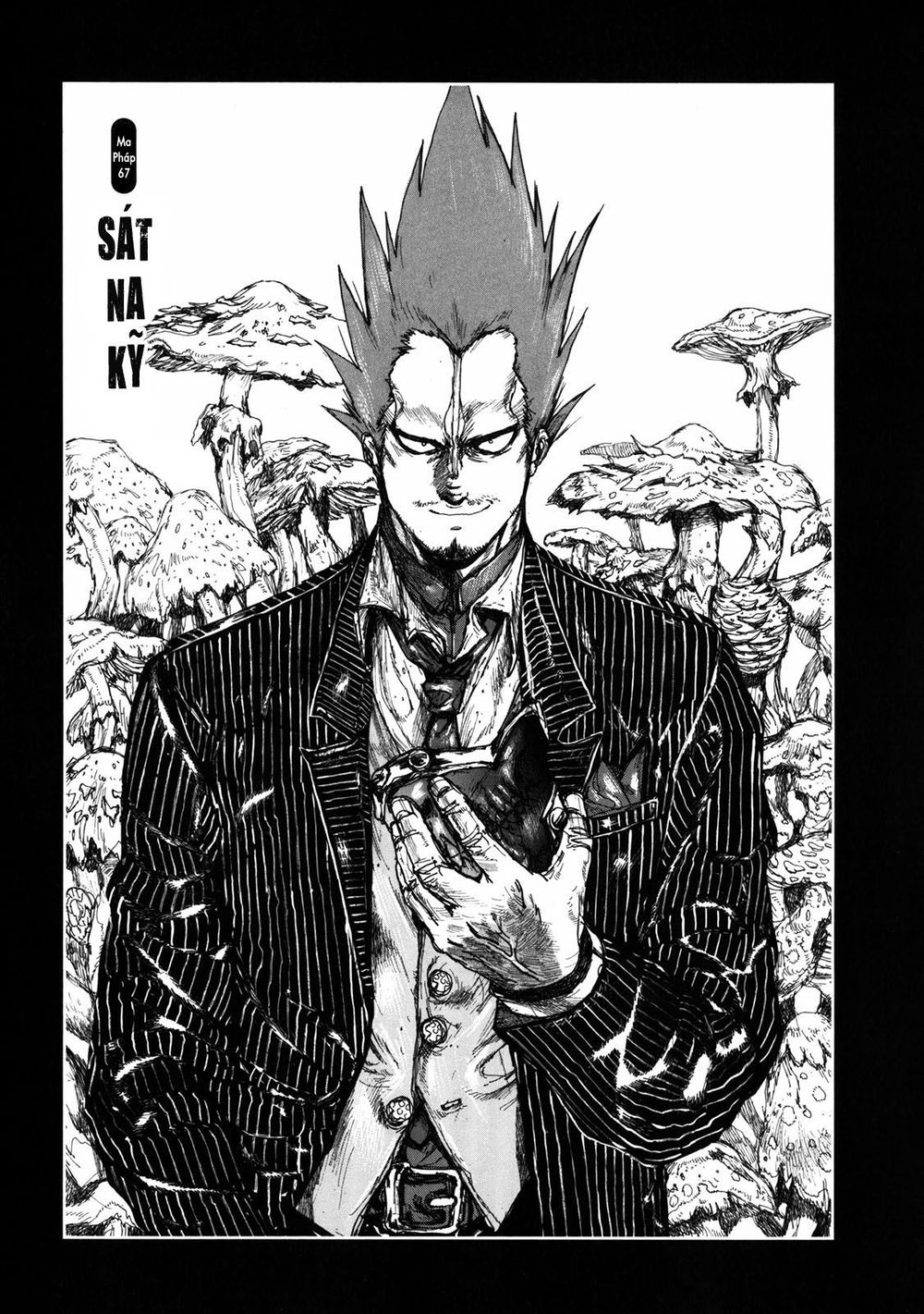 Kẻ Mất Trí Và Thế Giới Ma Thuật - Chương 67 - Trang 2
