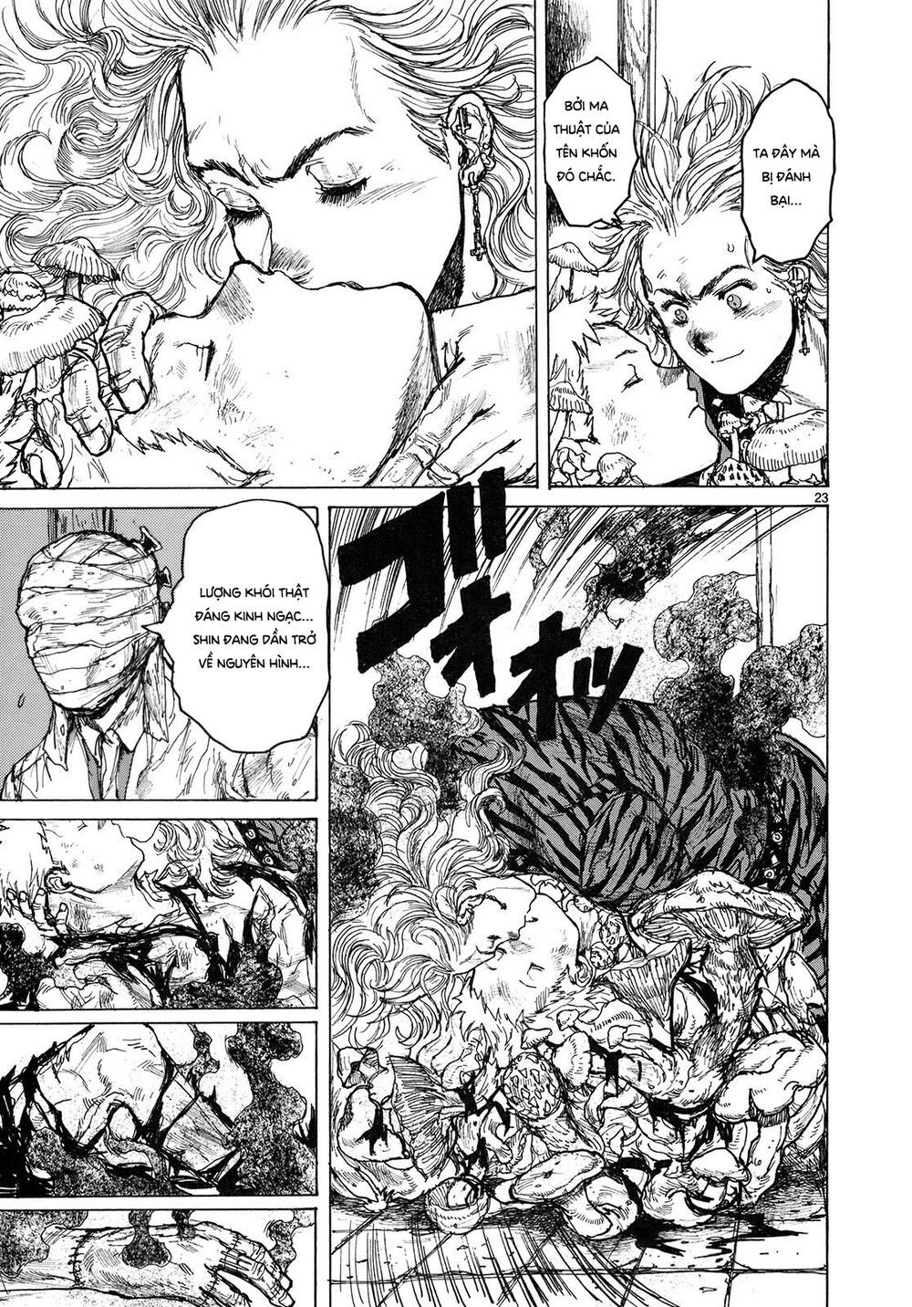 Kẻ Mất Trí Và Thế Giới Ma Thuật - Chương 75 - Trang 23