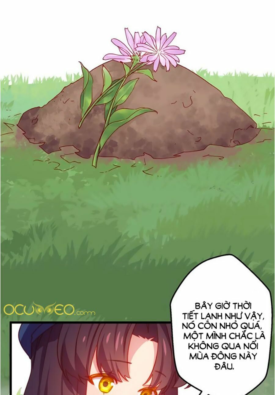 Bài Ca Tình Yêu - Chương 10 - Trang 12