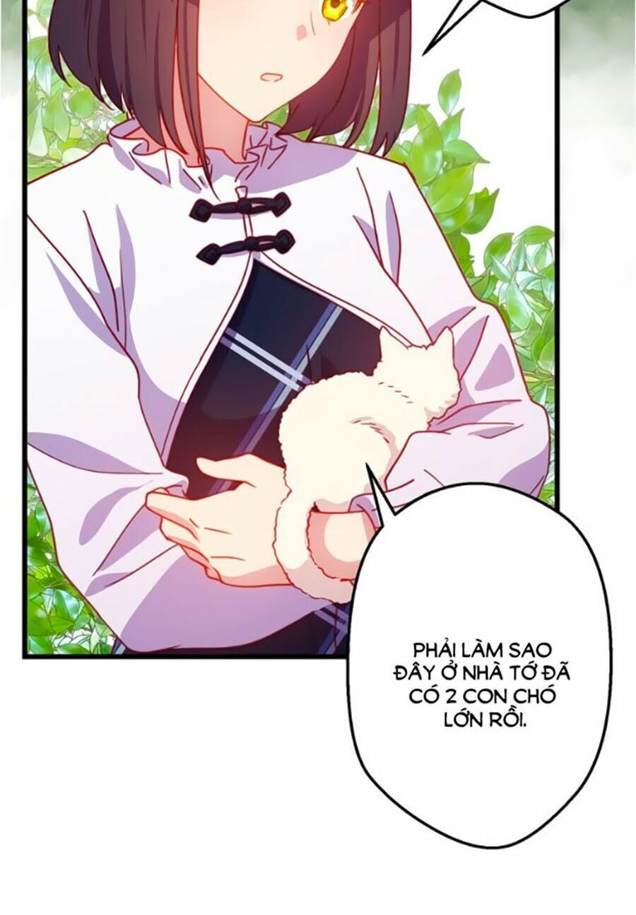 Bài Ca Tình Yêu - Chương 10 - Trang 13