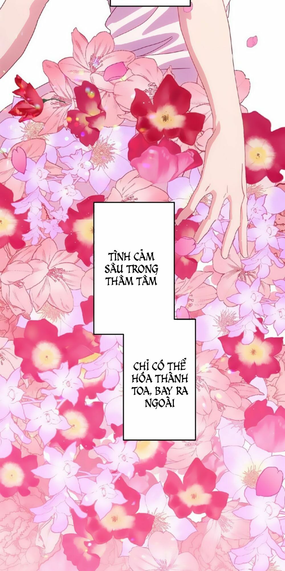 Bài Ca Tình Yêu - Chương 14 - Trang 9