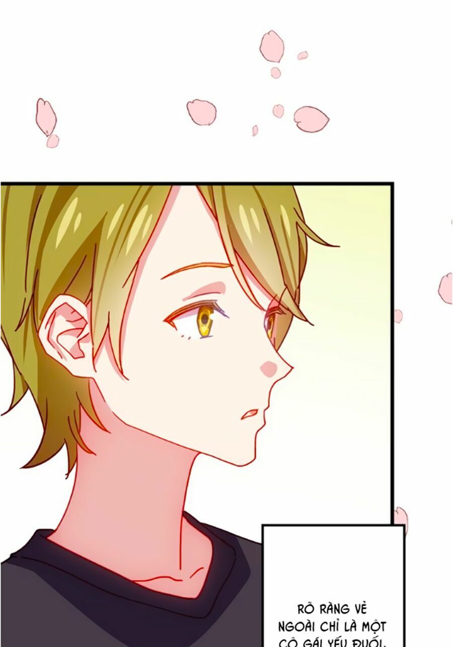 Bài Ca Tình Yêu - Chương 7 - Trang 24
