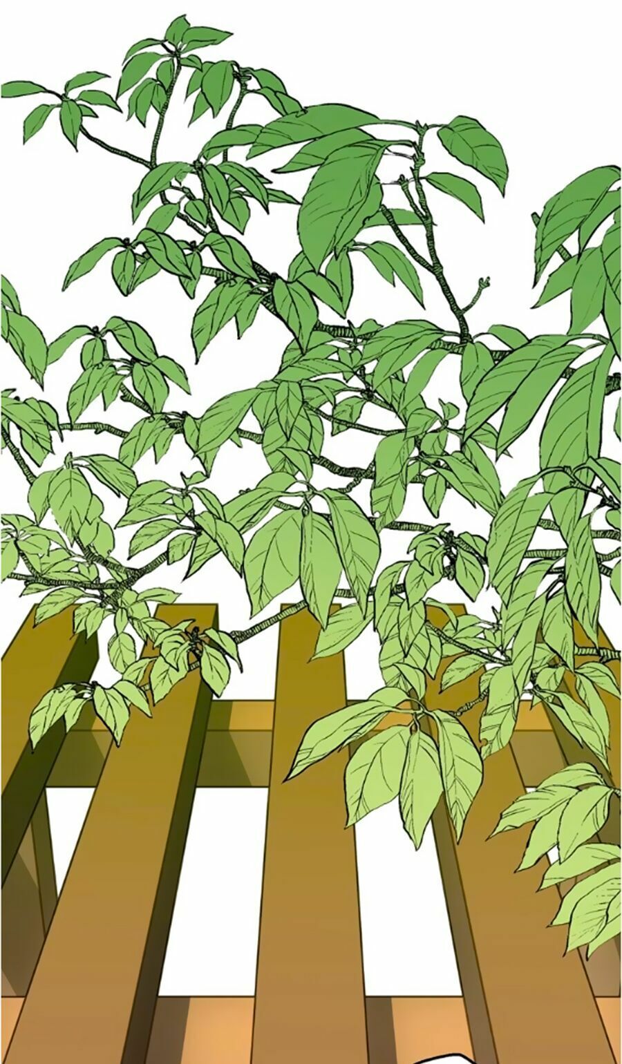 Bài Ca Tình Yêu - Chương 7 - Trang 31