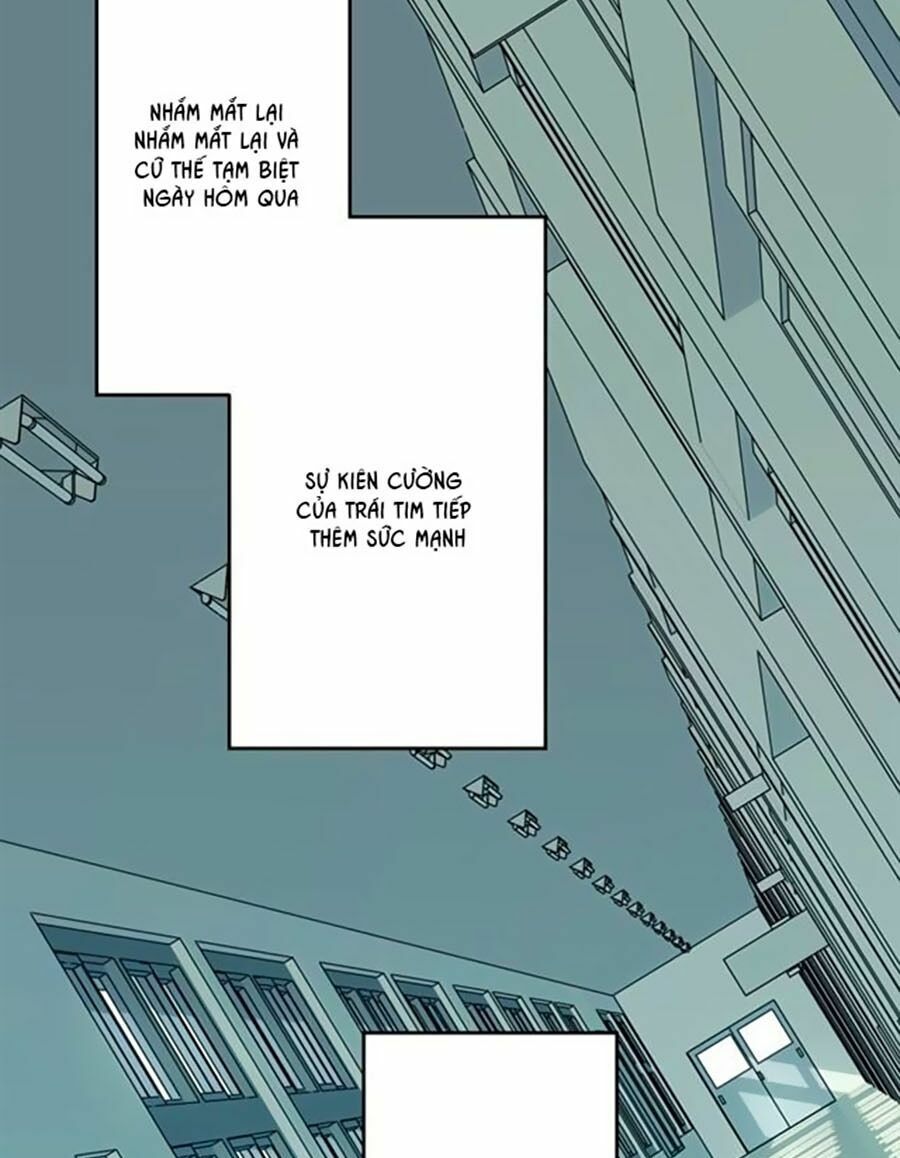 Bài Ca Tình Yêu - Chương 8 - Trang 38