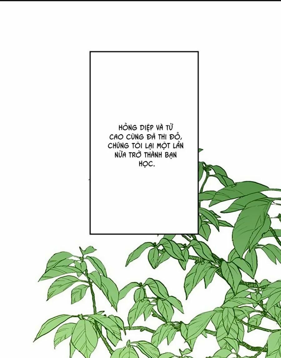 Bài Ca Tình Yêu - Chương 8 - Trang 44