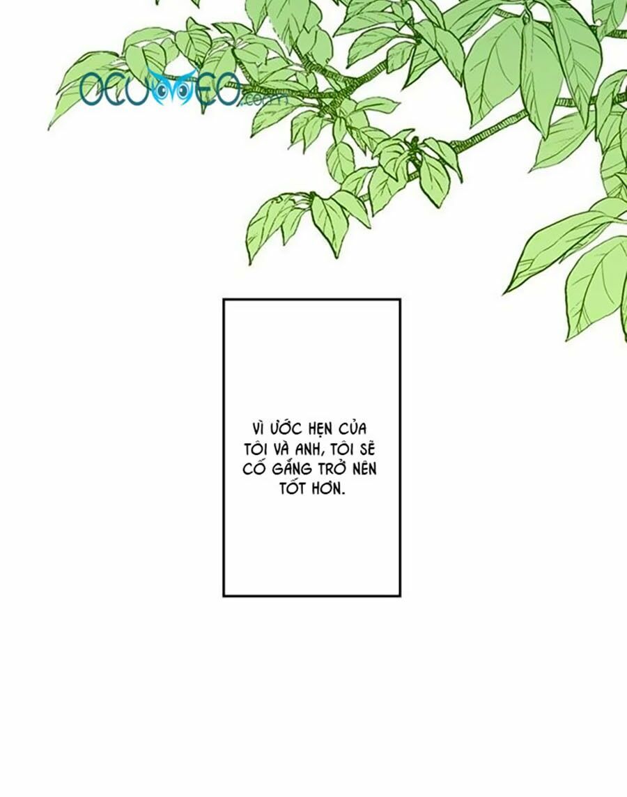 Bài Ca Tình Yêu - Chương 8 - Trang 45