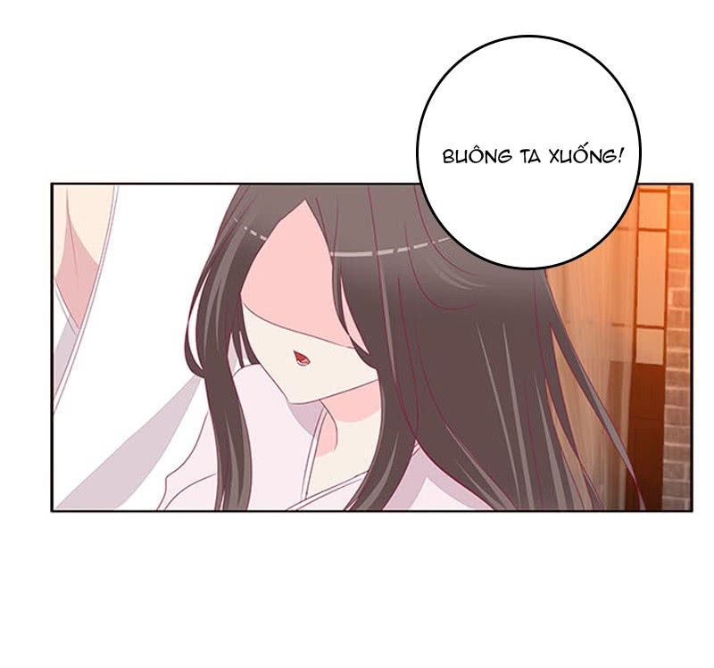 Tướng Quân Xin Xuất Chinh - Chương 133 - Trang 15