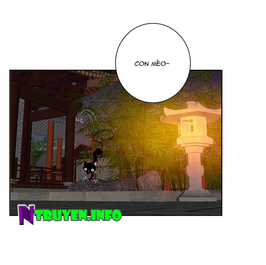 Tướng Quân Xin Xuất Chinh - Chương 157 - Trang 12