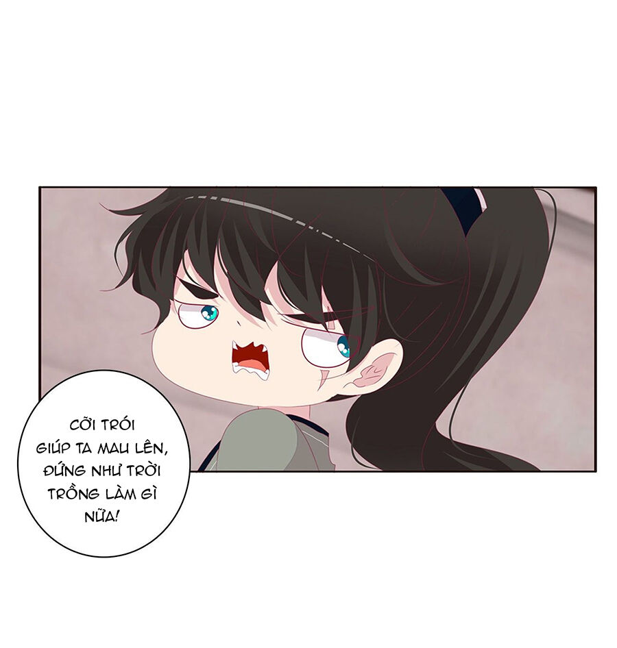 Tướng Quân Xin Xuất Chinh - Chương 173 - Trang 5