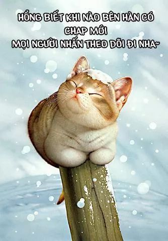 Trọng Sinh Trở Thành Hoàng Phi - Chương 102 - Trang 29