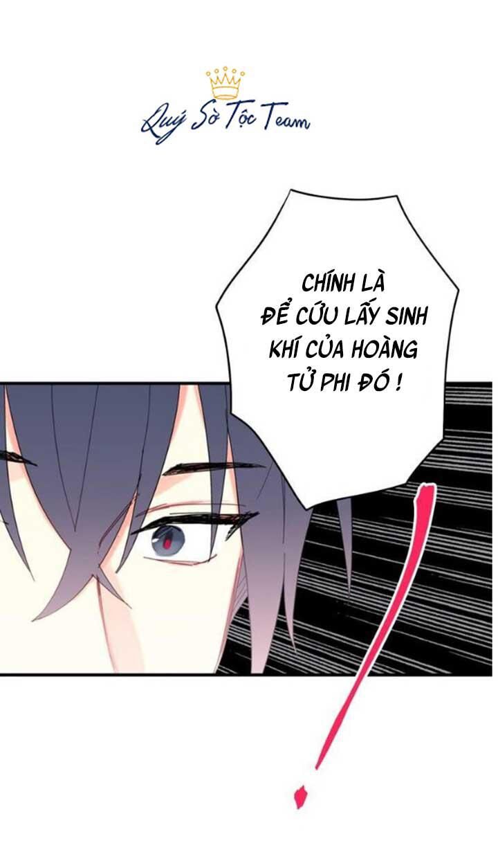 Trọng Sinh Trở Thành Hoàng Phi - Chương 53 - Trang 25
