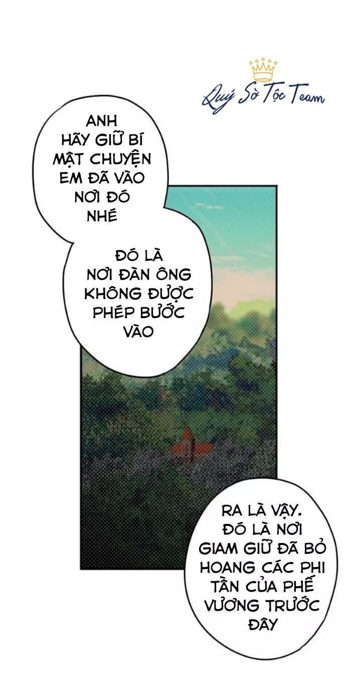 Trọng Sinh Trở Thành Hoàng Phi - Chương 54 - Trang 11