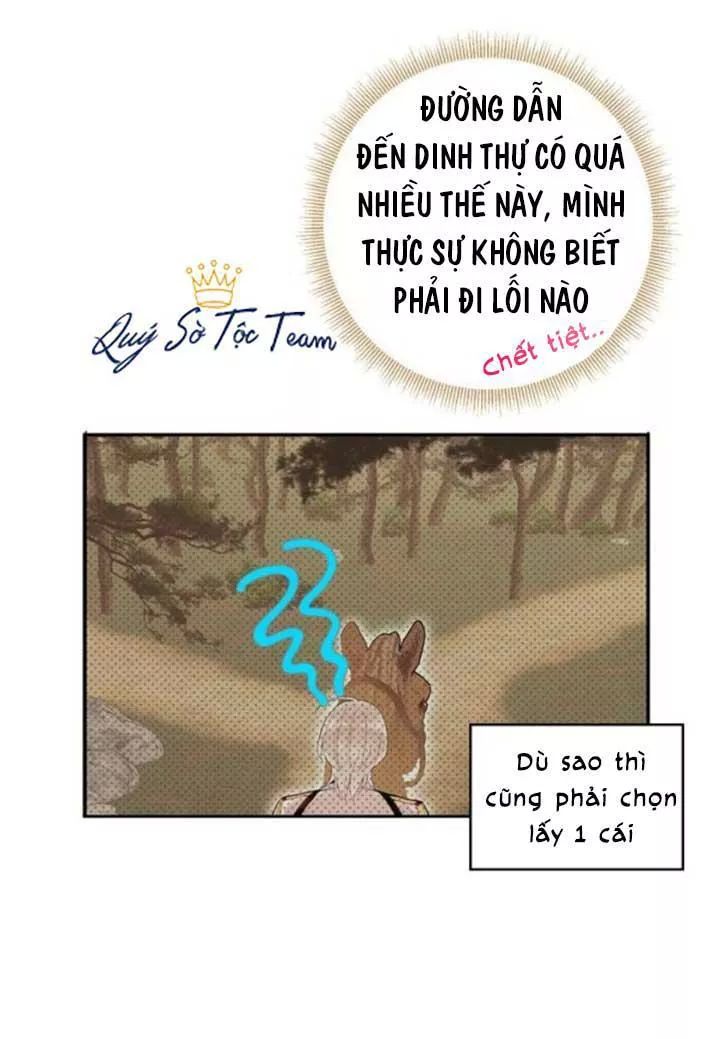 Trọng Sinh Trở Thành Hoàng Phi - Chương 60 - Trang 17