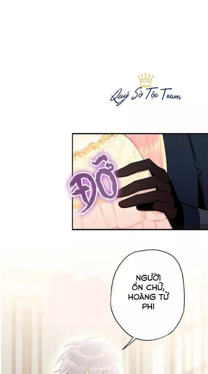 Trọng Sinh Trở Thành Hoàng Phi - Chương 69 - Trang 19