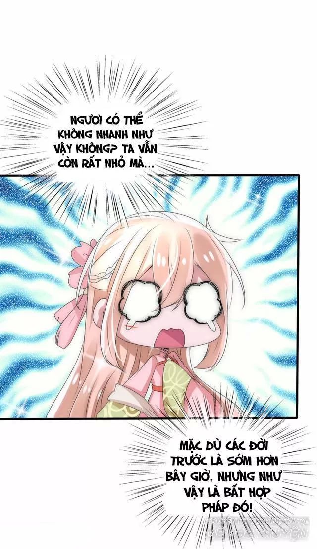 Kế Hoạch Sủng Ái Của Tiểu Công Chúa - Chương 27.1 - Trang 11