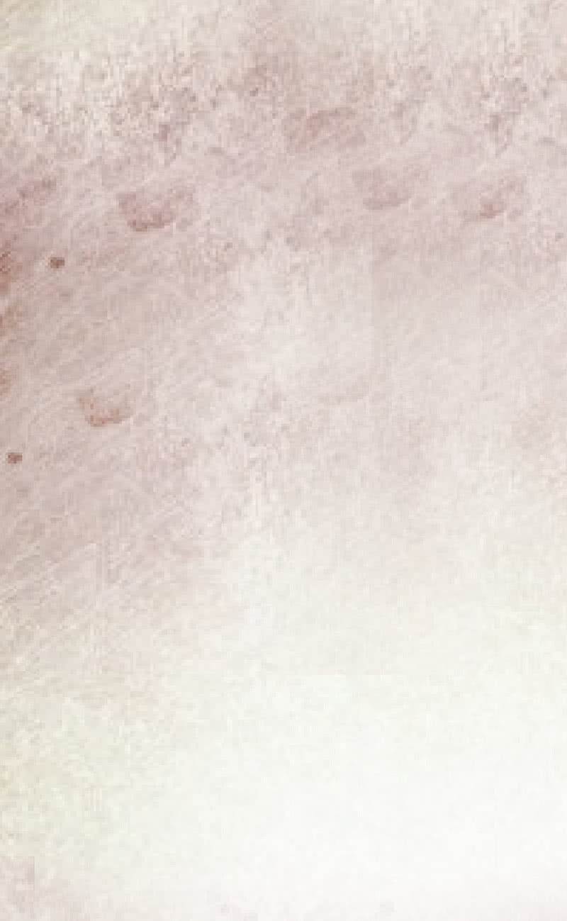 Hôn Sai 55 Lần - Chương 30 - Trang 15