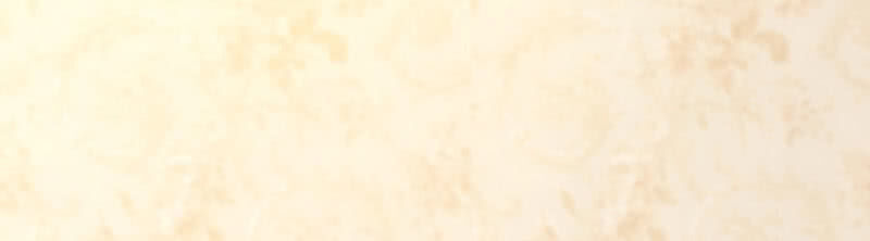 Hôn Sai 55 Lần - Chương 35 - Trang 4