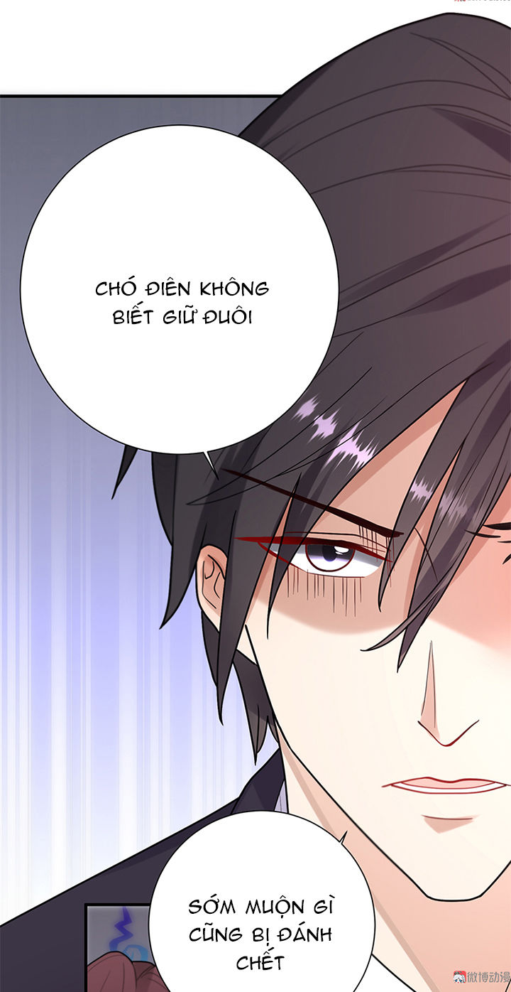 Tổng Tài Truy Thê: Phu Nhân Lại Chạy Trốn - Chương 23 - Trang 27