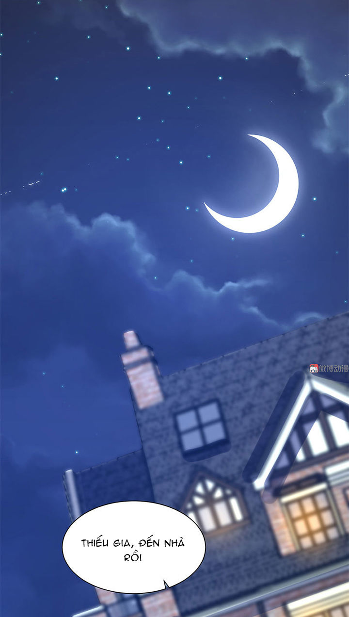 Tổng Tài Truy Thê: Phu Nhân Lại Chạy Trốn - Chương 25 - Trang 16